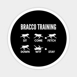 Bracco Italiano Training Italian Pointer Tricks Magnet